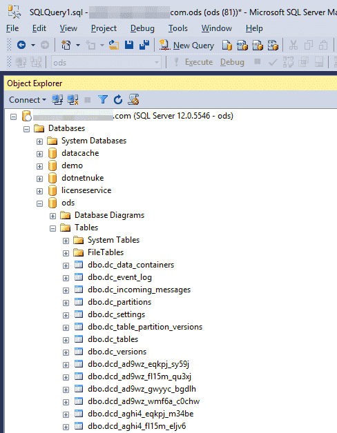 Table structure on SQL Server with Teamleader metadata and replicated tables.